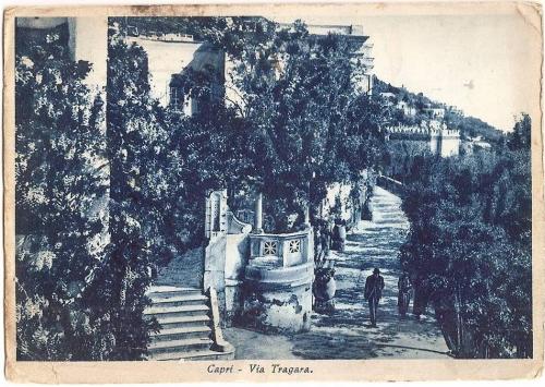 Il Corner Caprese